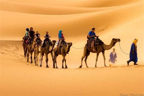 Moroccan Sahara Desert Day Private Guided Tour From Marrakech Triphobo