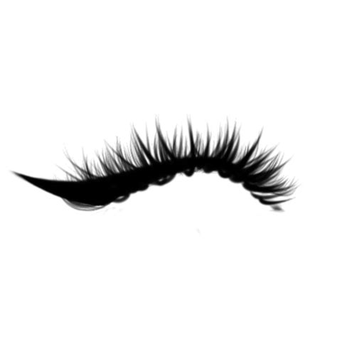 Eyelashes Png Images Transparent Background Png Play