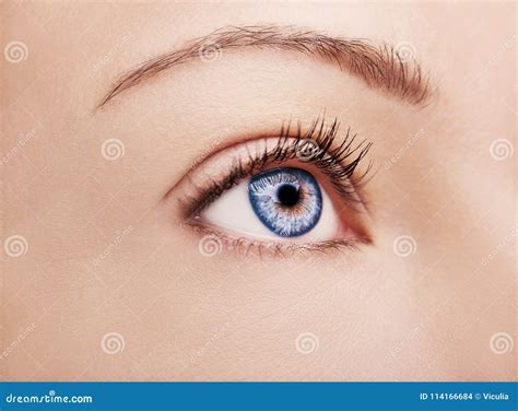 Beautiful Insightful Look Woman S Eye Stock Photo Image Of Eyeball