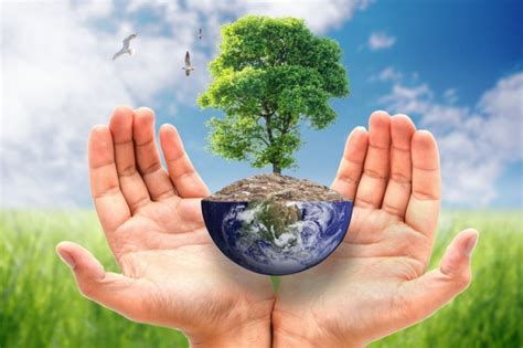 Proyecto Ambiental “la Responsabilidad Es Nuestra”