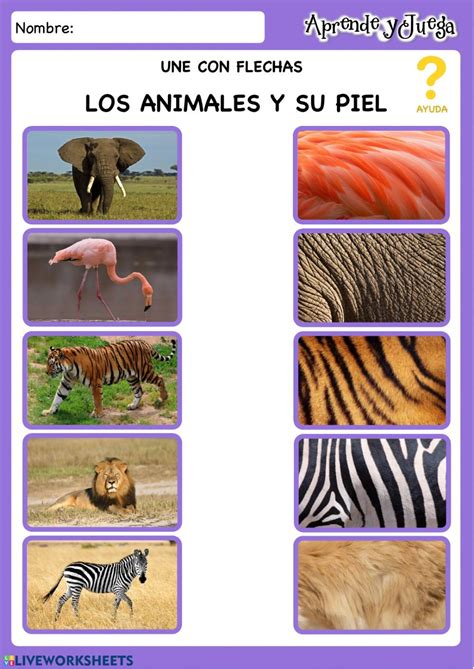 97,780 likes · 93 talking about this. Videos Interactivos Para Preescolar / ANIMALES DE LA ...