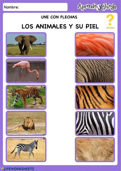 Juegos Interactivos Preescolar Juegos Interactivos Para Ninos De Preescolar Vocales Juegos Interactivos Para Favorecer Los Principios De Conteo Valentinazl Images