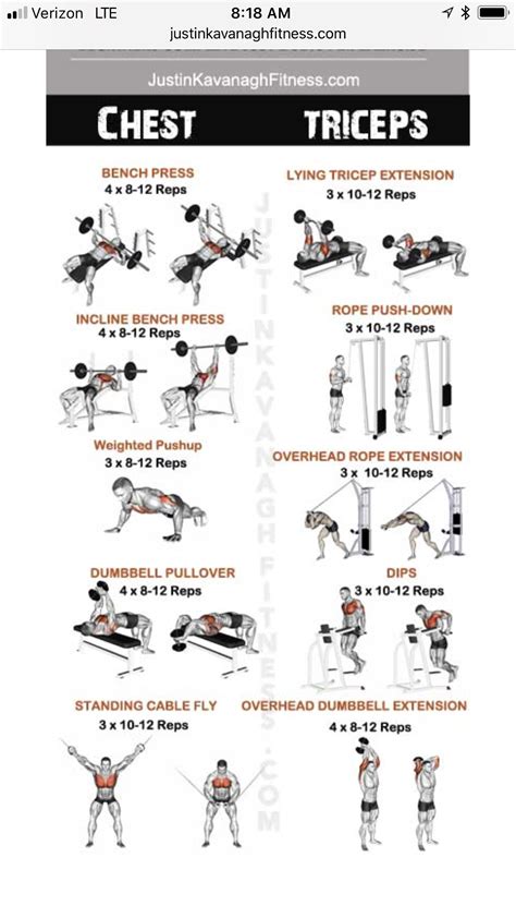Best Chest Workout For Men At Gym