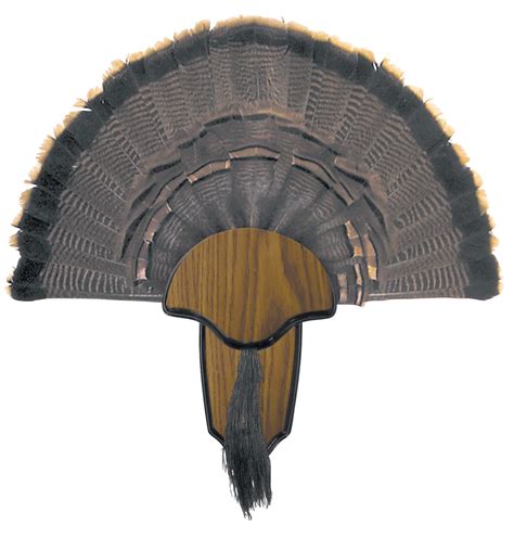 hunters specialties 00849 turkey tail beard mount gunstuff