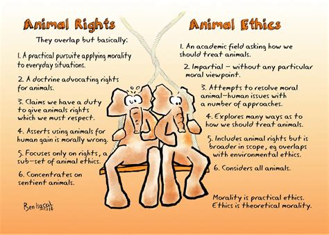 Animal Ethics Flickr