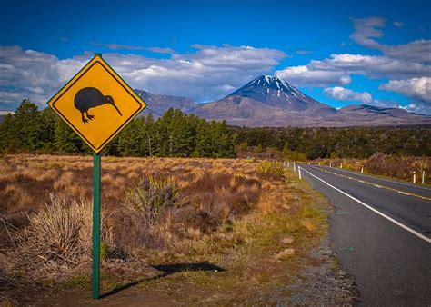 Figured figured is one of new zealand's rising tech stars, taking innovative agri technology to the world, we're growing fast and need a digitally savvy marketer to help us get t… New Zealand Travel Blog | The Road Trip New Zealand