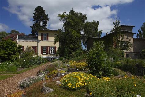 7 geprüfte anwälte zum thema garten in greifswald ✅ echte bewertungen ▶️ kompetente rechtsberatung von einem anwalt in ihrer nähe! Botanischer Garten und Arboretum