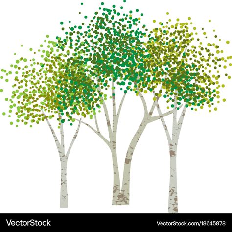 Hand Drawn Aspen Birch Trees Royalty Free Vector Image
