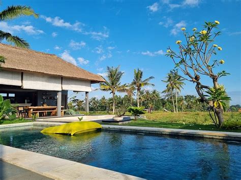 Villa Sawah Ramah Ubud Bali Tarifs 2024 Mis à Jour Et Avis Hôtel