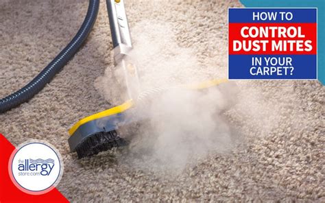 How To Control Dust Mites In Your Carpet X Mite Carpet Treatment