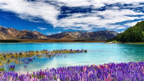 The Most Beautiful Photographs Of Lake Tekapo In New Zealand Freeyork