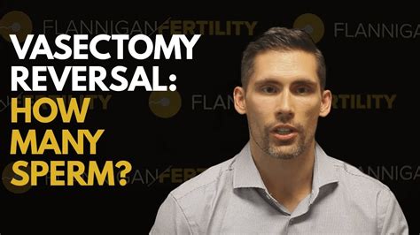 Getting Pregnant After Your Vasectomy Reversal YouTube