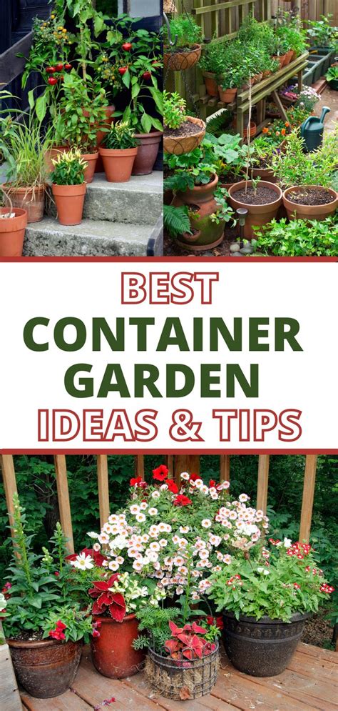 Effective Container Gardening 101 Container Gardening Container