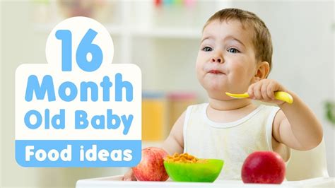 Food Ideas For 16 Month Old Baby Youtube