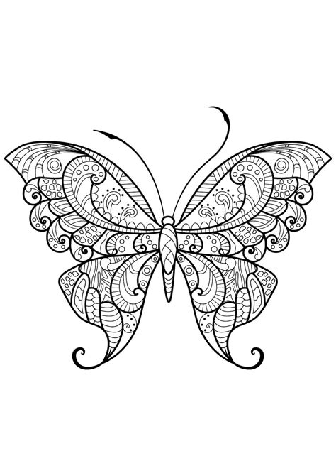 Coloriage Papillon Adulte Gratuit Télécharger Et Imprimer Gratuit Sur