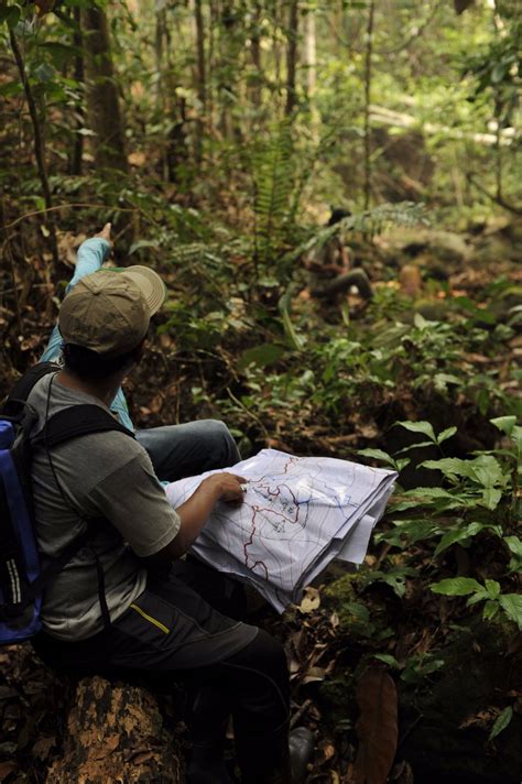 Forests And Community In East Kalimantan Wwf
