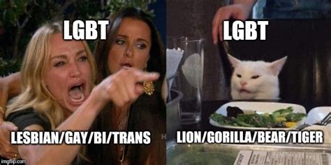 Image Tagged In Lgbtlesbiangaybisexualtransgendercats Imgflip