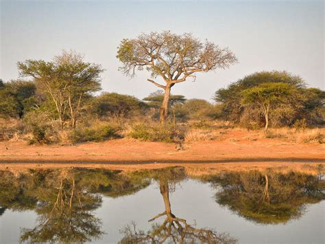 Timbavati Private Nature Reserve South Africa African Safaris Ltd