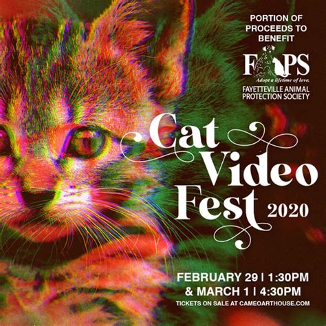 We are a three day event convention that operates at the hilton milwaukee city. Ticket Me Sandhills | Cat Video Fest 2020 (Feb 29th)