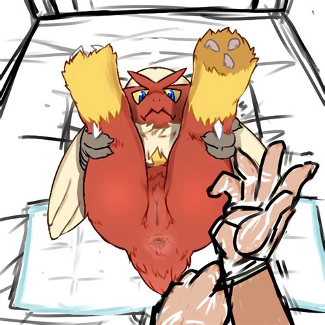 Rule 34 2016 Anthro Anus Ass Avian Bed Blaziken Blue Eyes Claws Clothing Duo Feathers Female