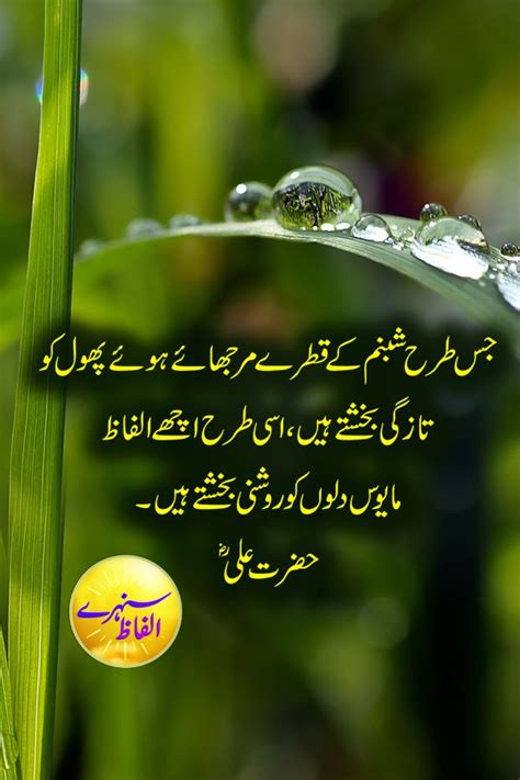Firza Naz Urdu Quotes Islamic Inspirational Quotes In Urdu Funny