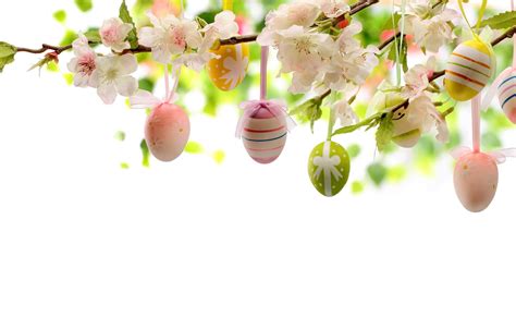 Easter Eggs And Flowers Images Magdalena Encore