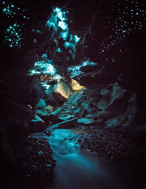 The waipu caves are arguably the best free glow worm caves in new zealand. A Magical Underground World - Exploring Glowworm Caves in ...