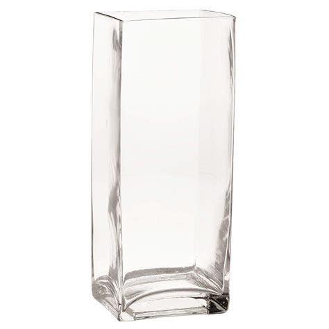 Buy Padmashri Glass Rectangle Vase 10 X 3 5 Inch Clear Online At Low Prices In India