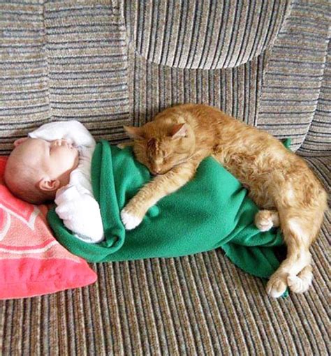 20 Adorable Photos Proving That Your Kids Need A Cat Bored Panda