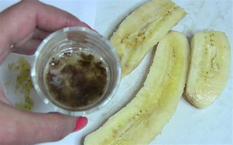 How To Grow A Banana A Simple Step By Step Guide Cook It