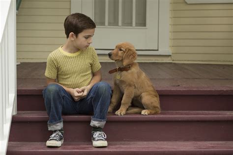A Dogs Purpose Trailer Reviews And Meer Pathé