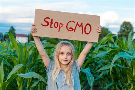 An Interview With Jeffrey Smith On Gmos Food Revolution Network