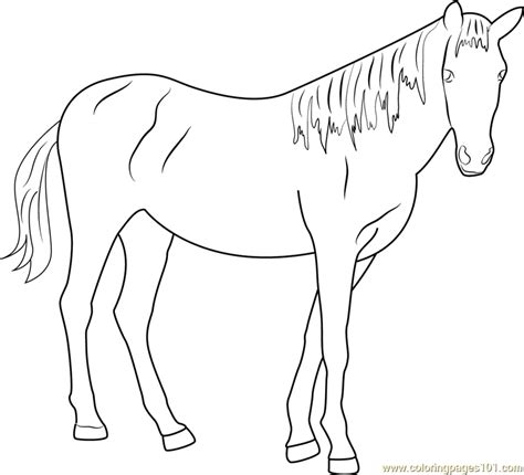 Beautiful Horse Coloring Page Free Horse Coloring Pages