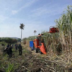 Buy Whole Stalk Harvest Machine Cane Combine Harvester Sugar Cane Harvester Price From Liuzhou