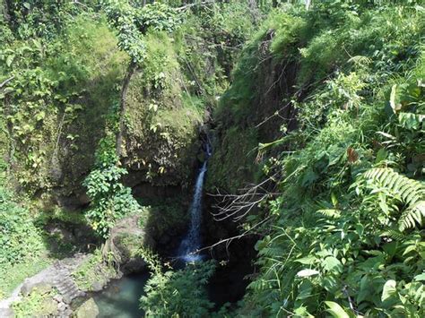 Emerald Pool Nature Trail Parc National De Morne Trois Pitons 2020 Ce Qu Il Faut Savoir Pour