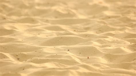 Sand On The Beach As Background Close Up Sand Texture Stock Video