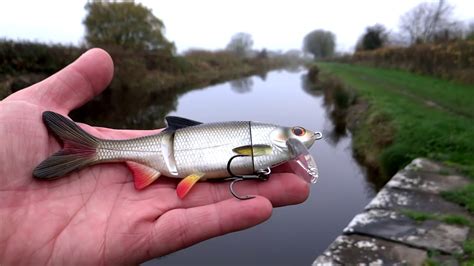 Hallo, ich verkaufe hier einige köder. Cool: pike attack Ricky & Mike. Fishing lures softbaits f ...
