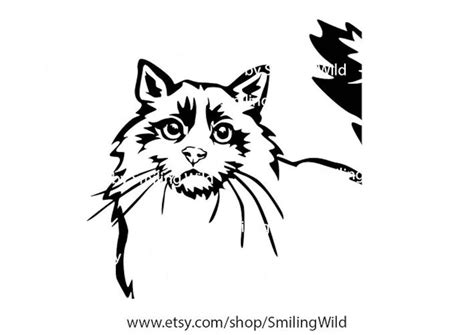 Ragdoll Cat Svg Clipart Pet Vector Graphic Art Cute Ragdoll Etsy Hong