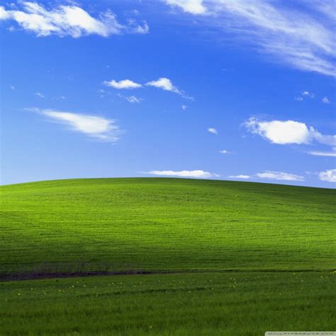 Windows Xp Bliss Wallpaper 1366x768 Wallpaper