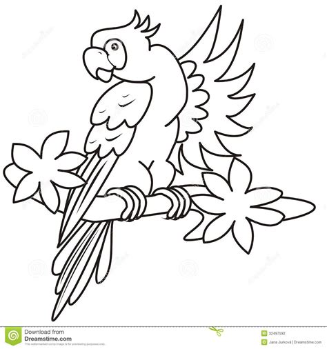 Guatemalan national bird coloring pages. Download Lorikeet coloring for free - Designlooter 2020 👨‍🎨