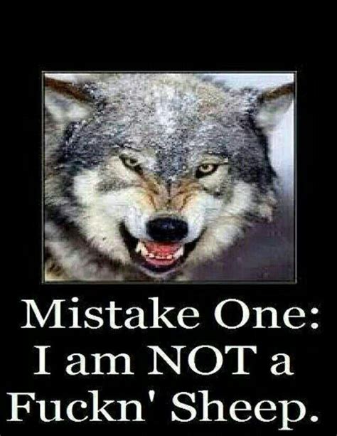 Pin By Coltin Ramey On Me As A Person And An Alpha Wolf Quotes Wolf