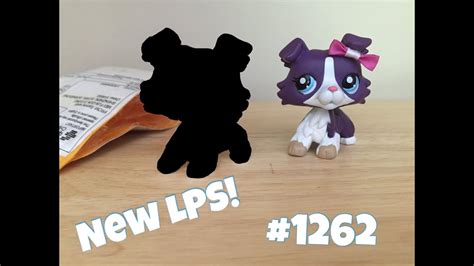 New Lps From Ebay Collie 1262 Youtube