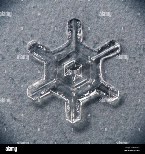 Single Melting Snowflake Macro With Grayblue Background Stock Photo