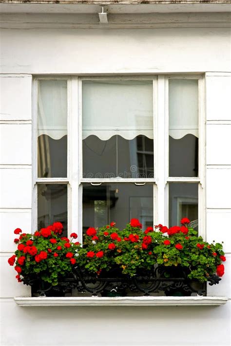 Window Flowers Stock Photo Image Of Windows Flowers 14129290