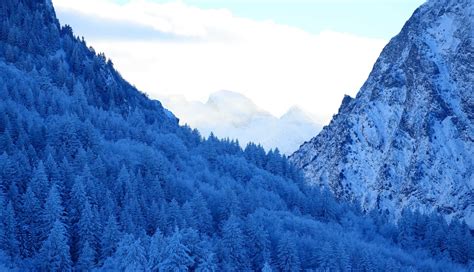 1336x768 Mountains Snow Fir Forest Winter Laptop Hd Hd 4k Wallpapers