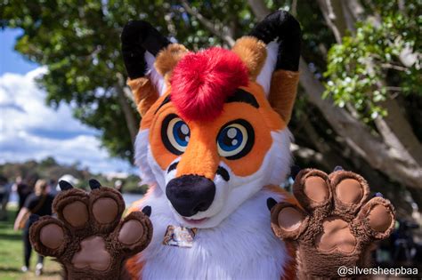 Furjam 2022 Colto Fox — Weasyl