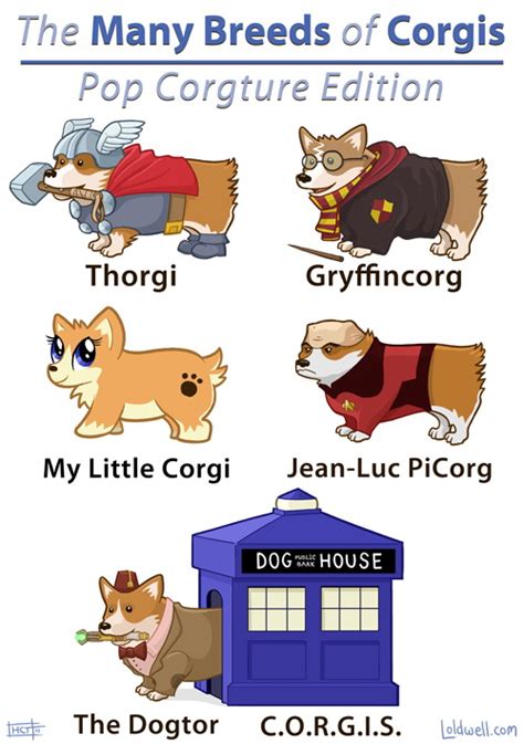 The many breeds of Corgis - Pop Corgture edition