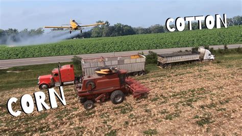 Corn Harvest And Spraying Cotton Youtube