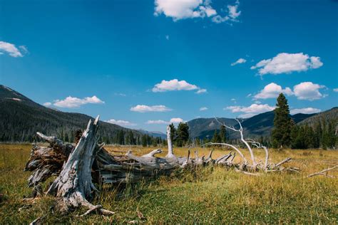 Kawuneeche Valley Rocky Mountain National Park Rpics