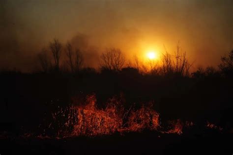 Reporte Oficial Por Los Incendios En Argentina Focos Activos En La
